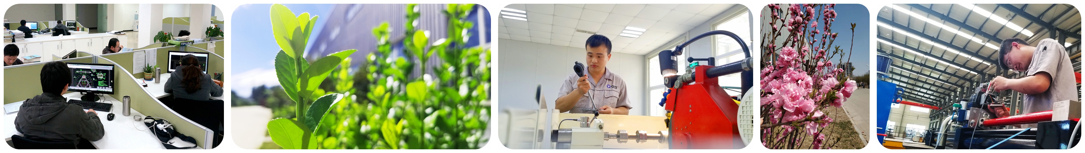 1598340189.jpg 工作环境.jpg